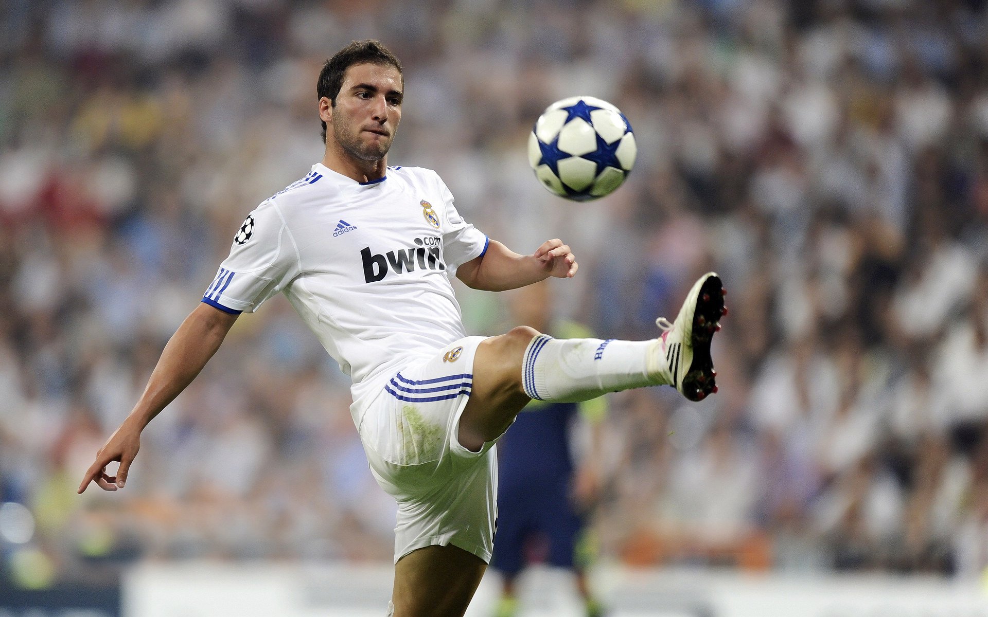 九游网页版官网入口-球场幕后：场馆、设备与赛事组织背后的故事，球场各个位置以及职务